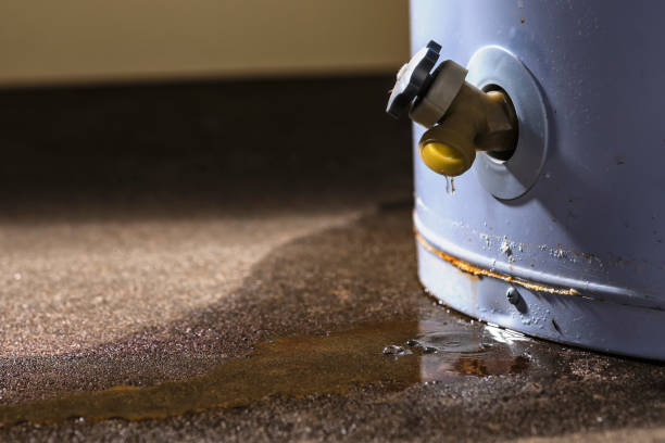Best Water damage restoration near me  in Stuart, IA