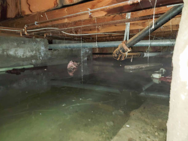 Best Sewage cleanup and water damage restoration  in Stuart, IA