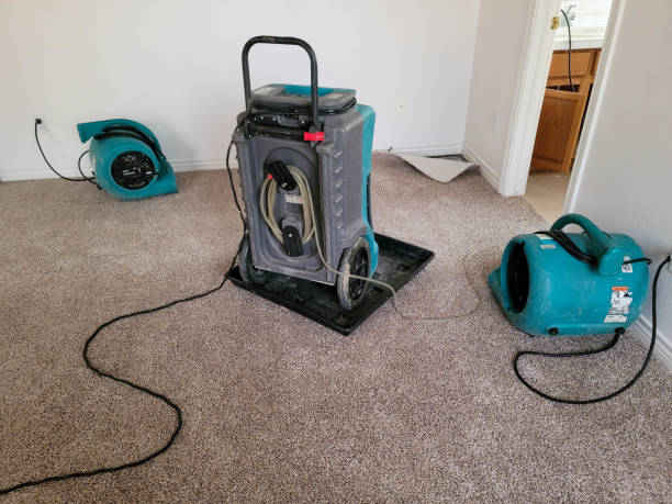  Stuart, IA Water damage restoration Pros