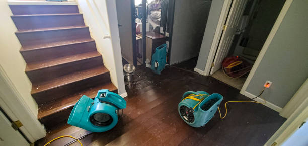 Best 24-hour water damage restoration  in Stuart, IA