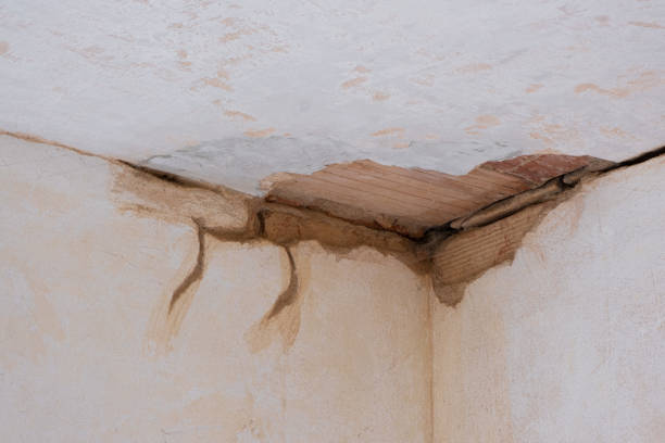 Best Water damage contractors near me  in Stuart, IA