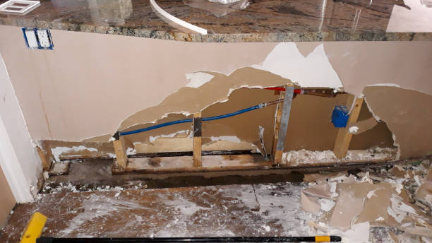 Best Mold removal after water damage  in Stuart, IA
