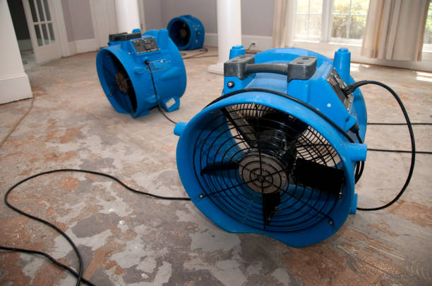 Best Local water damage restoration  in Stuart, IA
