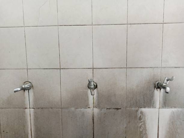 Best Flood damage cleanup  in Stuart, IA