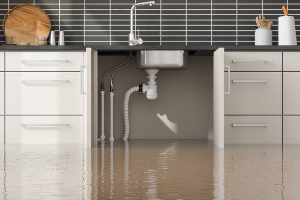 Best Mold removal after water damage  in Stuart, IA