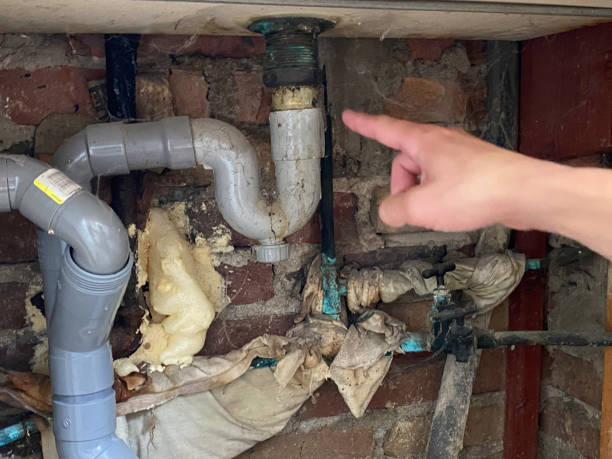 Trusted Stuart, IA Water damage restoration Experts